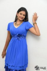 Swetaa Varma at Gang Of Gabbar Singh Movie Audio Launch